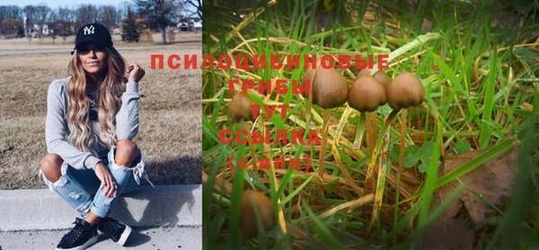 гидра Сатка