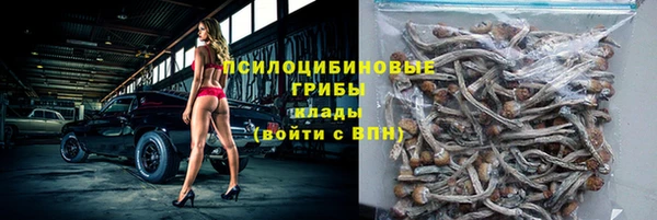 гидра Сатка