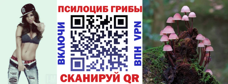 Купить закладки  Томск  Галлюциногенные грибы прущие грибы 